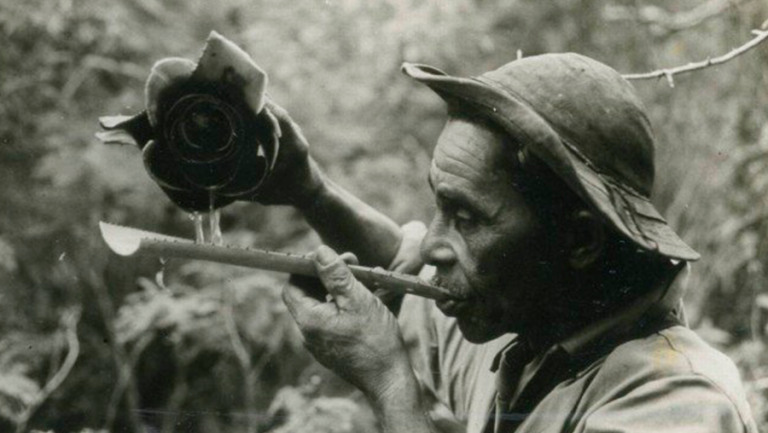 capa thomaz farka