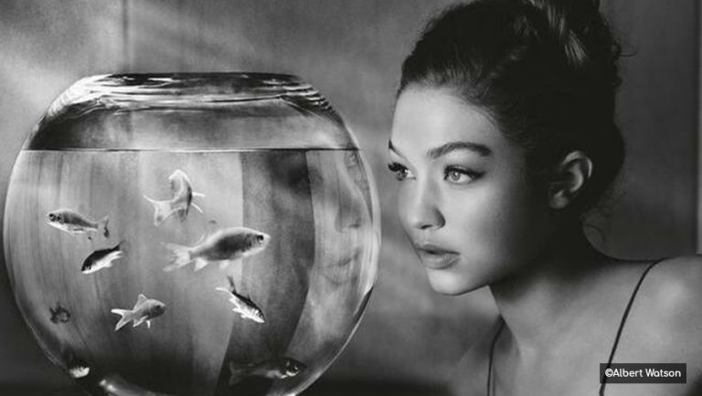 gigi hadid para calendario pirelli 849819